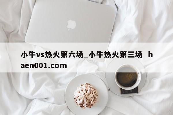 小牛vs热火第六场_小牛热火第三场  haen001.com